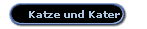 Katze und Kater