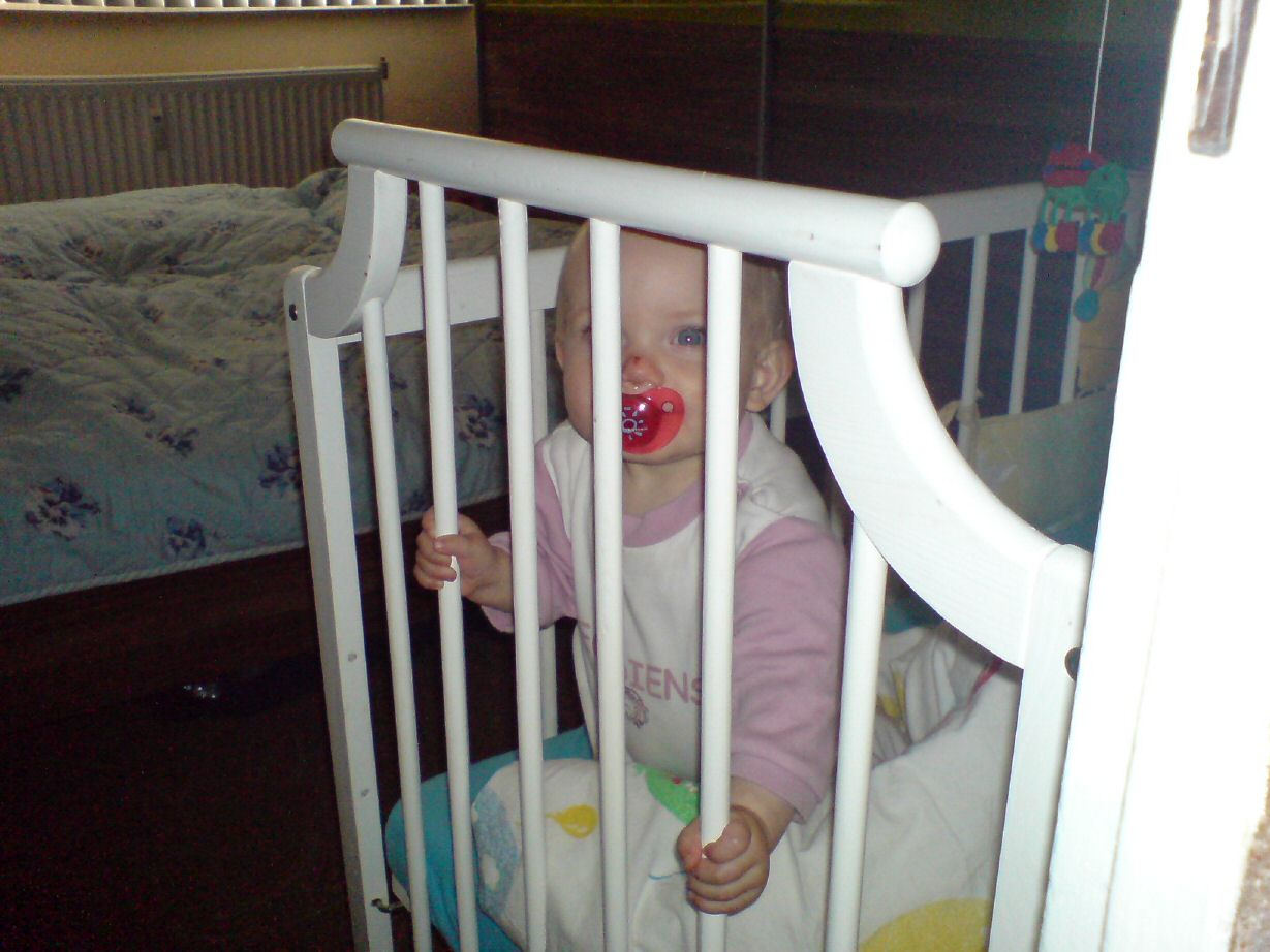 DSC01372.jpg