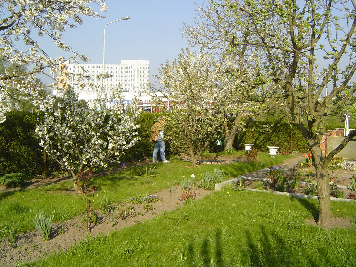 DSC00255.jpg