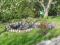 DSC00262.jpg