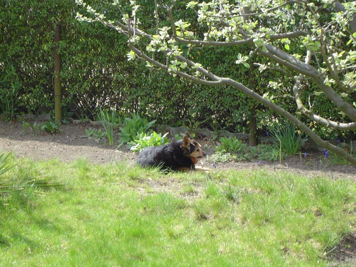 DSC00281.jpg