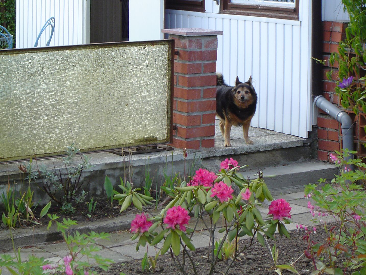 DSC00319.jpg