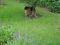 DSC00323.jpg