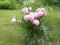 DSC00371.jpg