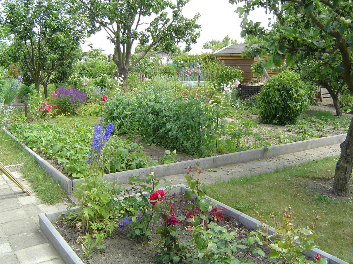 DSC00372.jpg