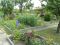 DSC00372.jpg