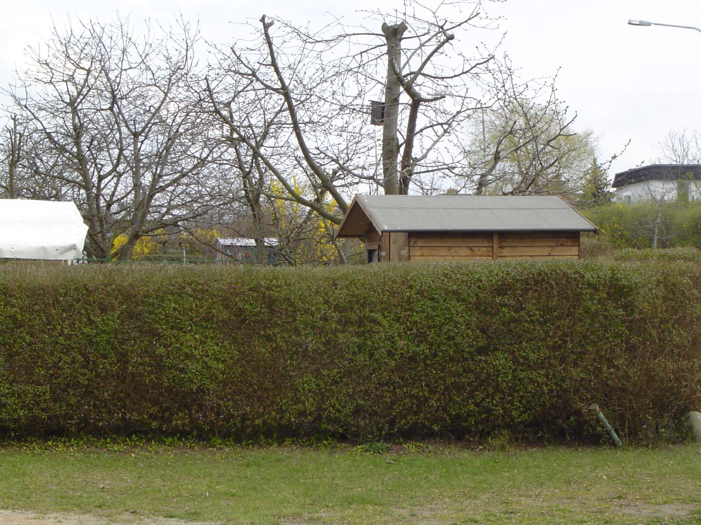 DSC00611.jpg