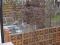 DSC00623.jpg