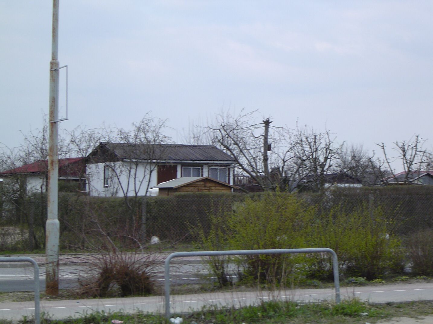 DSC00626.jpg