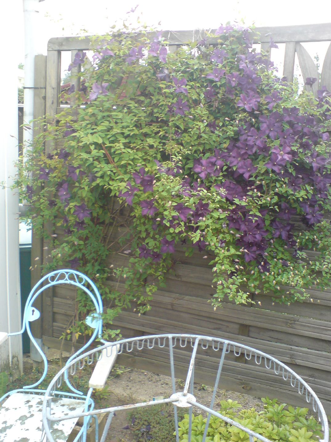 DSC11376.jpg