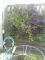 DSC11376.jpg