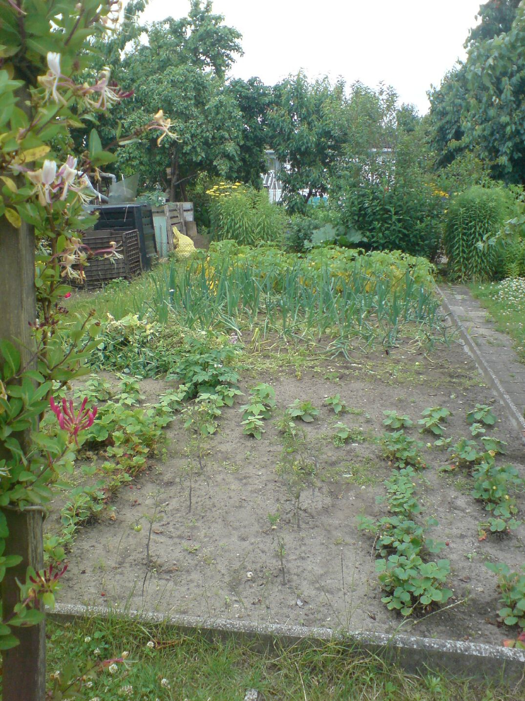 DSC11377.jpg